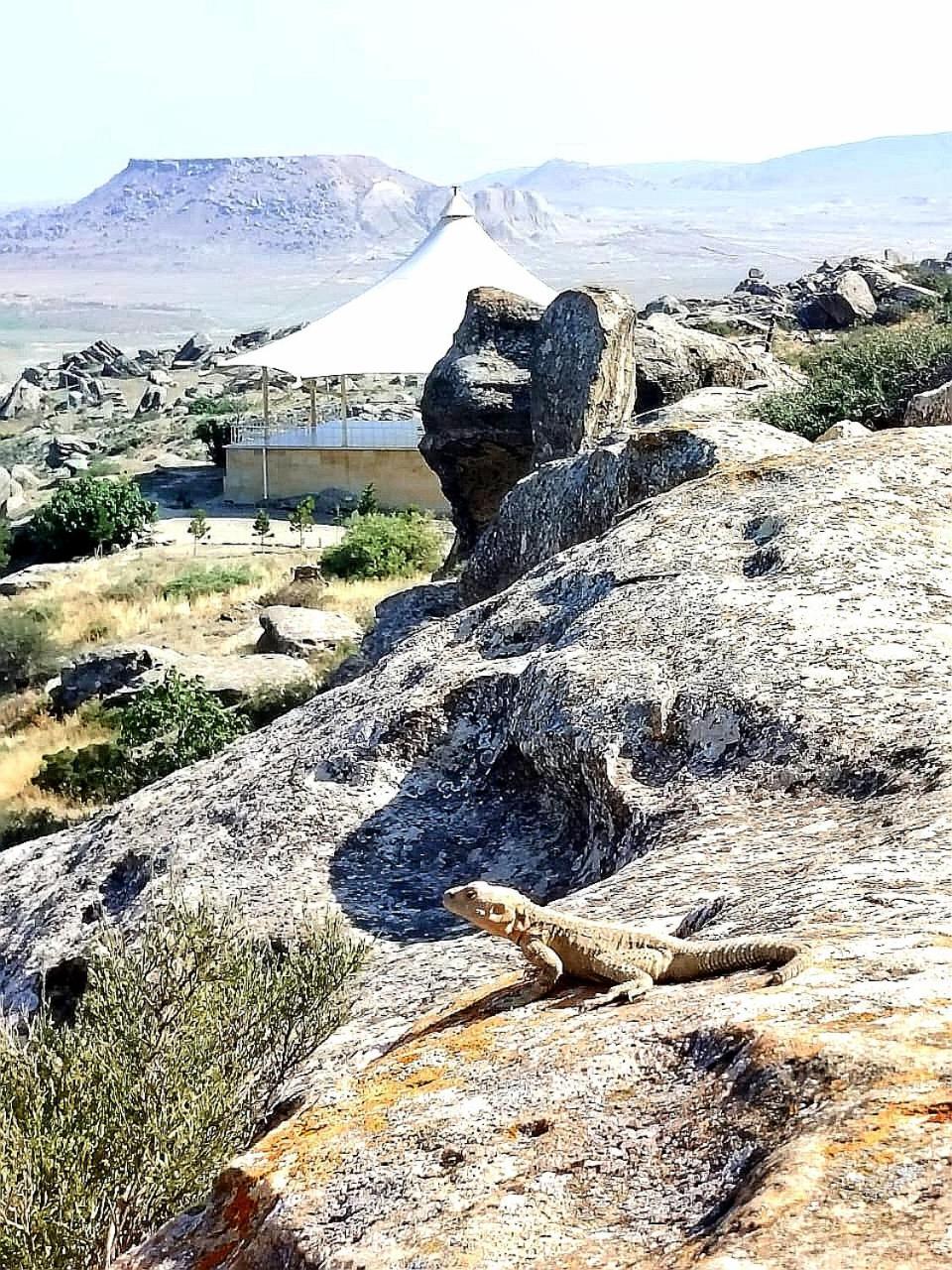 Baku "Black Mountain" Guest House Sangachal エクステリア 写真